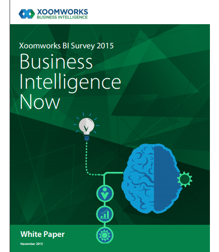 Xoomworks BI Survey 2015 Business Intelligence