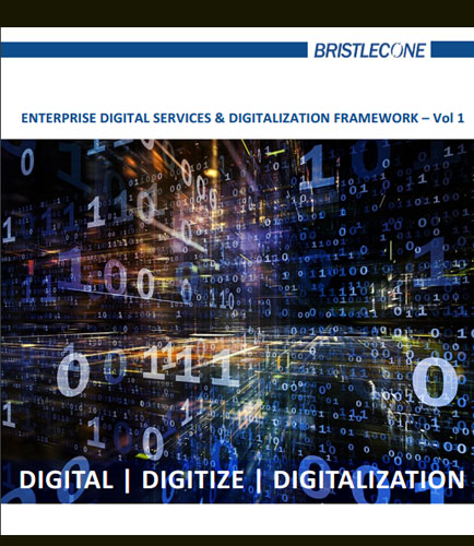 Enterprise Digital Services & Digitalization Framework