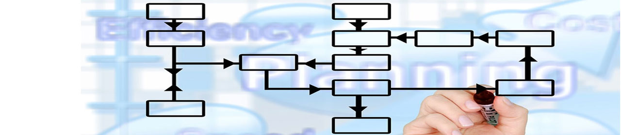 Hybrid Approach for Extending BPM with lower risk