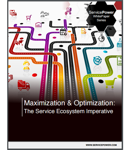 Maximization & Optimization: The Service Ecosystem Imperative