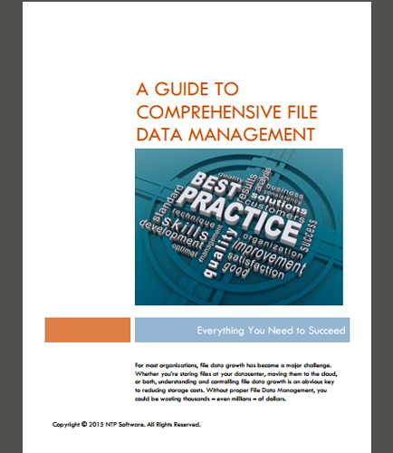 A Guide to Comprehensive File Data Management: Everything You Need to Succeed