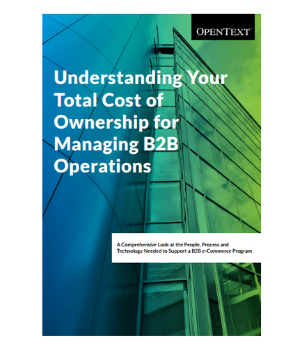 Understanding Your Total Cost of Ownership for Managing B2B Operations