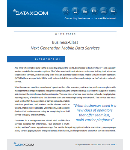 Business Class Next Generation Mobile Data Services