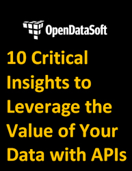10 Critical Insights into Application Programming Interface to Leverage the Value of Your Data