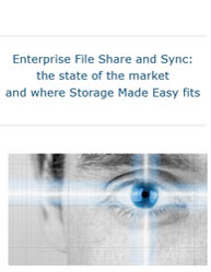 Enterprise File Share and Sync: The State of the Market and Where Storage Made Easy Fits