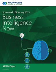 Xoomworks BI Survey 2015 Business Intelligence