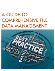 A Guide to Comprehensive File Data Management: Everything You Need to Succeed