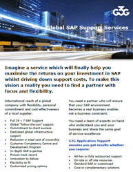 G3G Global SAP Support Services