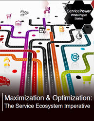 Maximization & Optimization: The Service Ecosystem Imperative