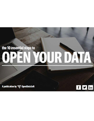 The 10 Essential Steps to Open Your Data