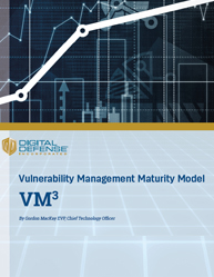 Vulnerability Management Maturity Level Control Security Risk Attacks and Data Breaches
