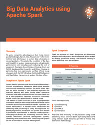 Big Data Analytics using Apache Spark