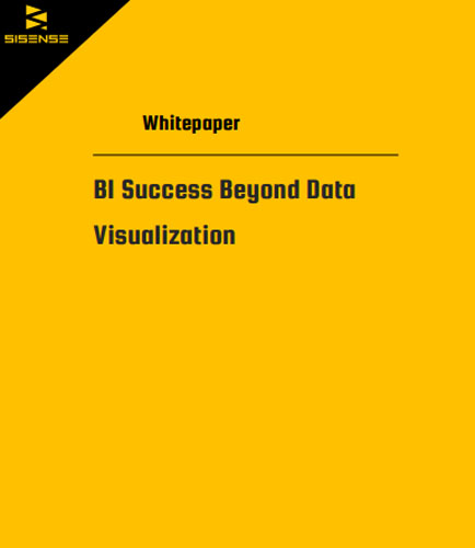 BI Success Beyond Data Visualization