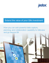 Extend the value of your Qlik investment